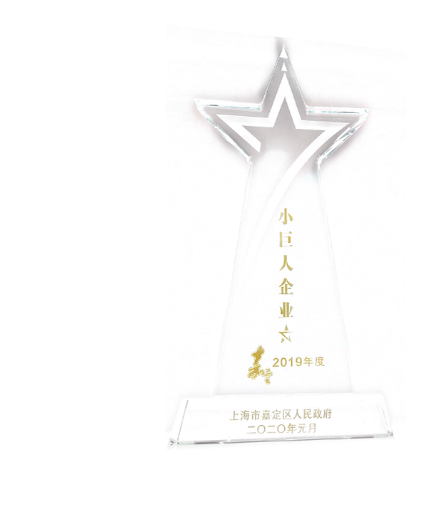 嘉定2019年度小巨人企業